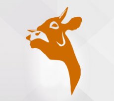 Bacteriological Meat Peptone